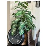Artificial Dieffenbachia Plant in Woven Basket, Wall Clock and Magazine Rack