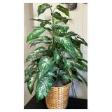 Artificial Dieffenbachia Plant in Woven Basket, Wall Clock and Magazine Rack