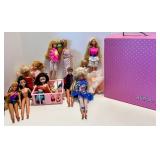 Barbie and Friends with Fashion Doll Case and More