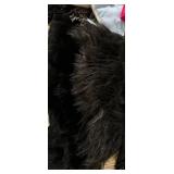 Winter Accessories Lot - Gloves & Mittens, Hats & Scarves