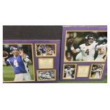 MINNESOTA VIKINGS Matted Art of BRETT FAVRE 16" x 20"