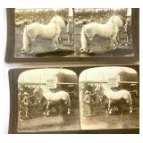 Group of Antique Historical Interest Photographs