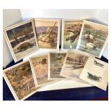 Group of 9 Unframed Wildlife Prints