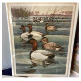 Group of 9 Unframed Wildlife Prints