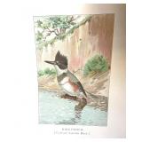 Group of 12 Unframed Bird Lithographs