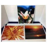 Group of 15 Modern Frameable Photographs