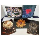 Group of 15 Modern Frameable Photographs