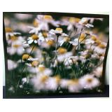 Group of 15 Modern Frameable Photographs