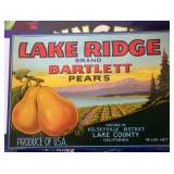 Group of New "Old Stock" Fruit Crate Labels