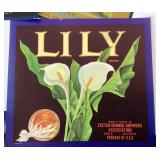 Group of New "Old Stock" Fruit Crate Labels