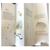 Minnesota Center For Book Arts: "The Natives" (David Mura) + St. Olaf College: "Sucking Stones" (Poetry 1973)