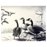 Les Kouba Winning Federal Duck Stamp Print 1958-1959
