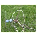 Vintage lighting rods and glass glo...