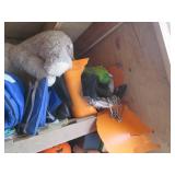 Content on shelf to include life ja...