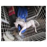 Wire 4 drawer organizer bin with ba...