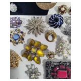 Assortment of Sparkly Brooches, Necklaces & Earrings