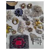 Assortment of Sparkly Brooches, Necklaces & Earrings