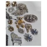 Assortment of Sparkly Brooches, Necklaces & Earrings