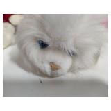 Playful Plush Kitten & Soft Teddy Bear