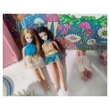 Dawn & Friends Doll Cases, Dolls & Accessories