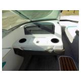 1991 Sea Ray with Mercruiser and Shoreland