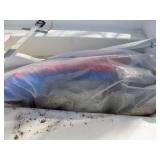 DS Day Sailer with Trailer