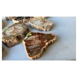 Petrified Wood Agate Slab Specimen 3-4 Inches (Lot of 8)