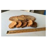 Wood bases for gemstone specimens (lot of 8)