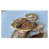 Petrified Wood Agate Slab Specimen 3-4 Inches (Lot of 8)