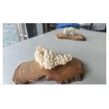 3 crystal clusters on calcite with wood bases. (Lot 3)