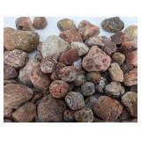 Large Collection Of Agates