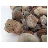 Large Collection Of Agates