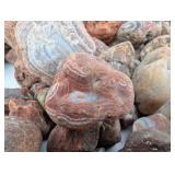 Large Collection Of Agates