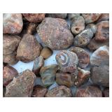 Large Collection Of Agates