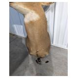 Whitetail Buck Taxidermy Deer Head with Large Multi-Tine Antlers