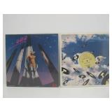 Great Collection of Vinyl Records - Disco, Trance, Many Obscure Titles, DJ & Promo Records & MORE #10