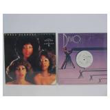Great Collection of Vinyl Records - Disco, Trance, Many Obscure Titles, DJ & Promo Records & MORE #32