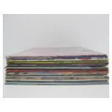 Great Collection of Vinyl Records - Disco, Trance, Many Obscure Titles, DJ & Promo Records & MORE #35