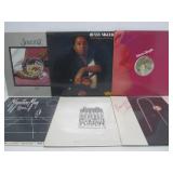 Great Collection of Vinyl Records - Disco, Trance, Many Obscure Titles, DJ & Promo Records & MORE #40