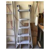 Werner Multi-Position Ladder