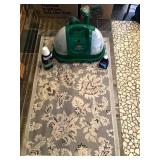Spot/Stain Cleaner & Rug