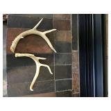 Woodsman's Antler Décor
