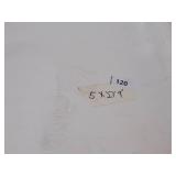 NEW Vinyl Tarp Remnant - 5