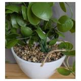 Small Artificial Hanging Plant - Brand New