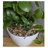 Small Artificial Hanging Plant - Brand New