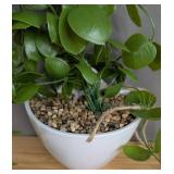 Small Artificial Hanging Plant - Brand New