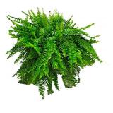Large Artificial Fern Plant for Pots or Decor $44.99 Retail - Brand New
