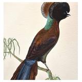 LL - Tobias Hobson Original Watercolor Painting, Framed