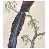 LL - Tobias Hobson Original Watercolor Painting, Framed