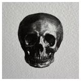O - D.L. & Co Skull Note Cards 12-Pack - 7 1/4 x 5 1/4 - Envelopes Included